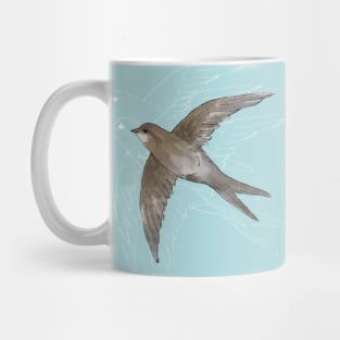 Common Swift in the air Mug